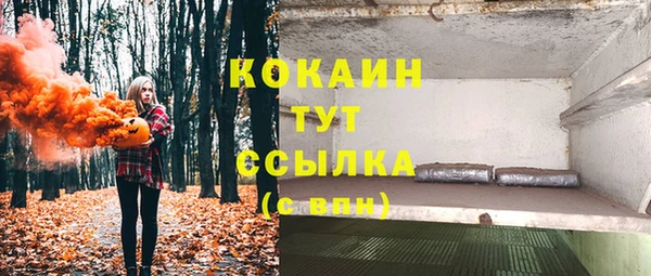гашик Богородск
