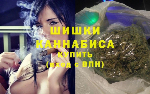 гашик Богородск